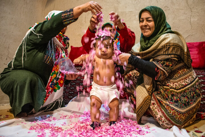 هم‌آغوشی نوزادان ۱۸ استان با گلبرگ‌های محمدی – جمهورآنلاین