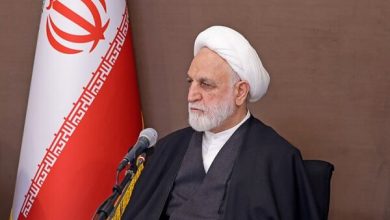 محسنی اژه‌ای: دفاع در برابر رژیم غاصب یک دفاع مشروع و انسانی است
