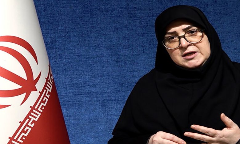 مهاجرانی: براساس منافع ملی درباره مذاکرات تصمیم میگیریم