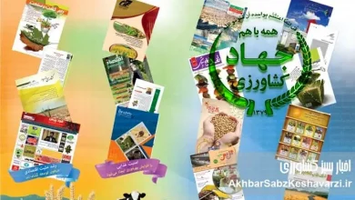 به گزارش ریال آنلاین به نقل از اخبار سبز کشاورزی: آقای رئیس جمهور سه دهه است رسانه‌های کشاورزی به عنوان بازوان اطلاع‌رسانی، نقد هدفمند و ارائه راهکار و طرح تجارب گذشتگان به مثابه «گذشته چراغ راه آینده است» و کمک حال کارشناسان و مدیران بخش‌های مختلف وزارتخانه در سراسر ایران بوده و هستند.