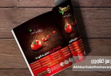 به گزاش ریال آنلاین به نقل از اخبار سبز کشاورزی؛ مجلات و روزنامه‌ها همواره بازوی توانمندی برای اطلاع‌رسانی در حوزه‌های مختلف اجتماعی، ادبی، هنری، اقتصادی و به‌ویژه کشاورزی بوده‌اند و نقش مؤثری در انعکاس نقاط قوت و ضعف موجود ایفا کرده‌اند.