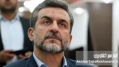 به گزارش ریال آنلاین به نقل از اخبار سبز کشاورزی؛  با توجه به اصول و مواد حقوقی که تصریح دارد بر اینکه یک فرد دولتی، شغل دیگری از جمله بازرگانی، عضو هیئت مدیره و... را نمی‌تواند در بخش خصوصی  داشته باشد، شاپور علایی‌مقدم ظاهرا در شرکت آتی صبا میهن، هم به عنوان نماینده شرکت و هم به عنوان عضو هیئت مدیره یا نایب رئیس هیئت مدیره سمت رسمی و دخالت در امور مالی  دارد.
