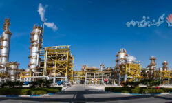 پتروشیمی مروارید با افزایش ۳۱ درصدی درآمد، نیمه نخست سال ۱۴۰۴ را پشت سر گذاشت