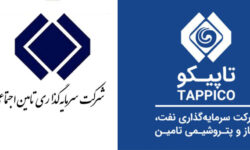 اصرار بر مدیریت غیرتخصصی؛ چرا کاهش سود برای تاپیکو اهمیتی ندارد؟