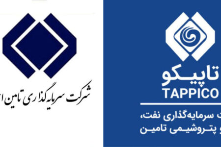 اصرار بر مدیریت غیرتخصصی؛ چرا کاهش سود برای تاپیکو اهمیتی ندارد؟