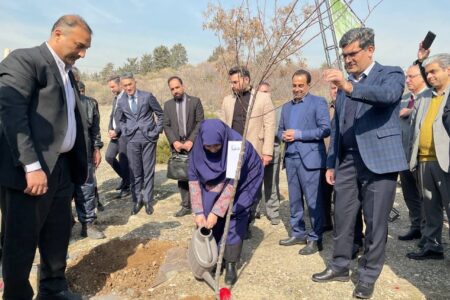 رئیس سازمان حفاظت محیط‌زیست به پویش ملی درختکاری «سرو ایران» پیوست