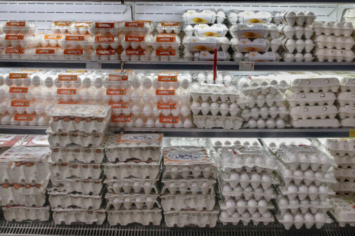 تخممرغ بستهبندی؛ کیفیتی که باید تضمین شود