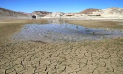 اجرای الگوی کشت بدون اصلاح حکمرانی آب و بازار ممکن نیست – جمهورآنلاین