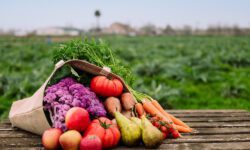 اجرای الگوی کشت بدون اصلاح حکمرانی آب و بازار ممکن نیست