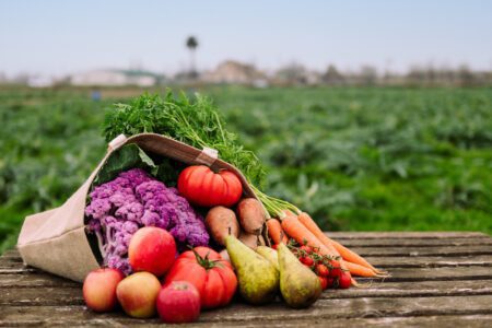 اجرای الگوی کشت بدون اصلاح حکمرانی آب و بازار ممکن نیست