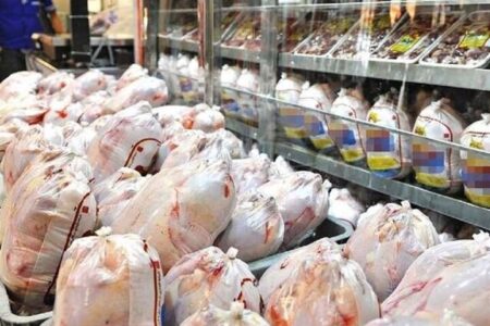 مجوز صادرات ۱۰ هزار تن مرغ صادر شد